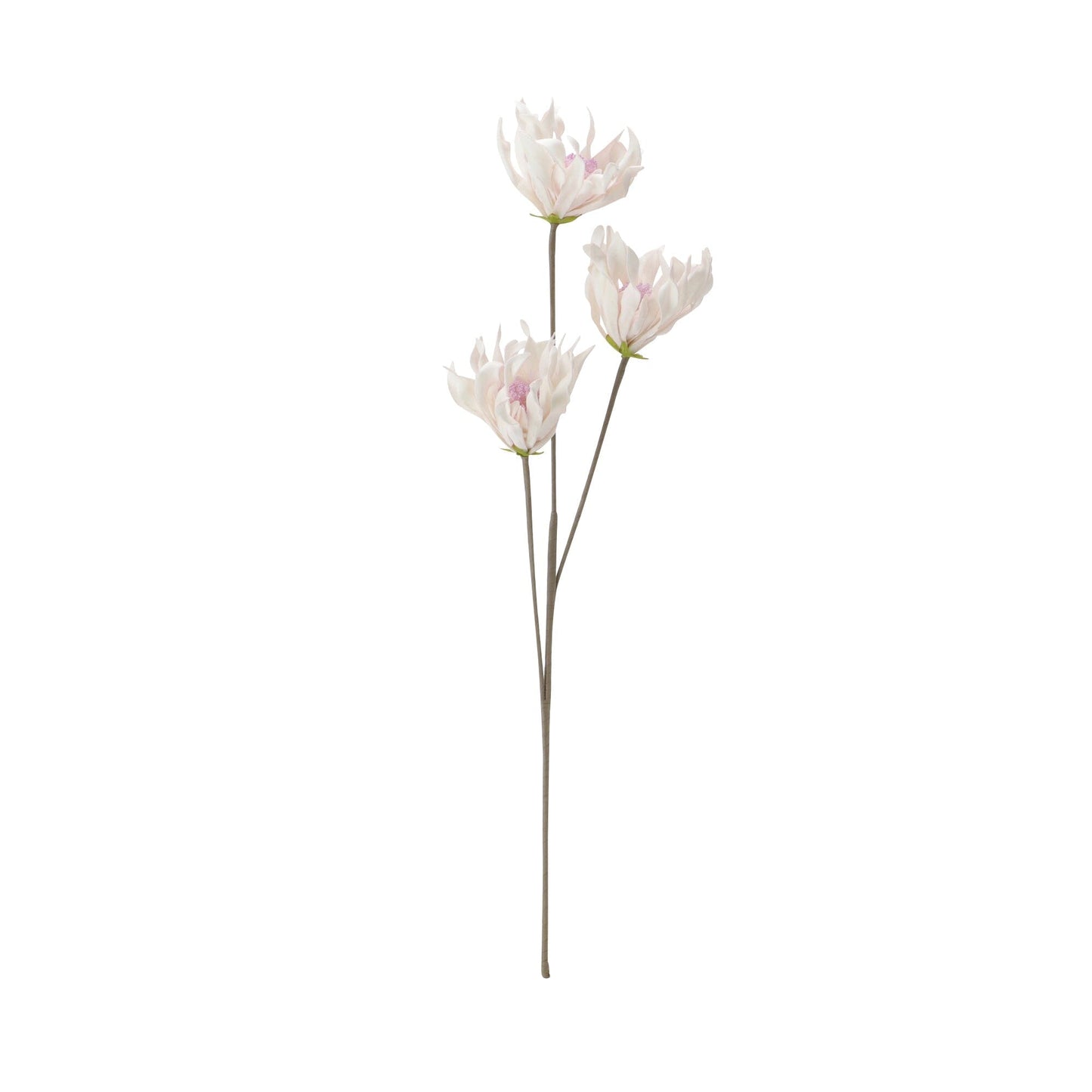 Artplants Mom Pink