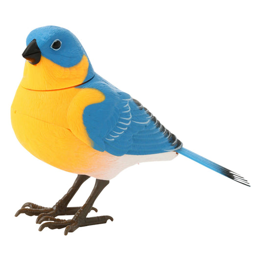 Motion Detector Music Bird Blue