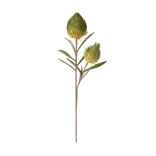 Art Plant Banksia Green