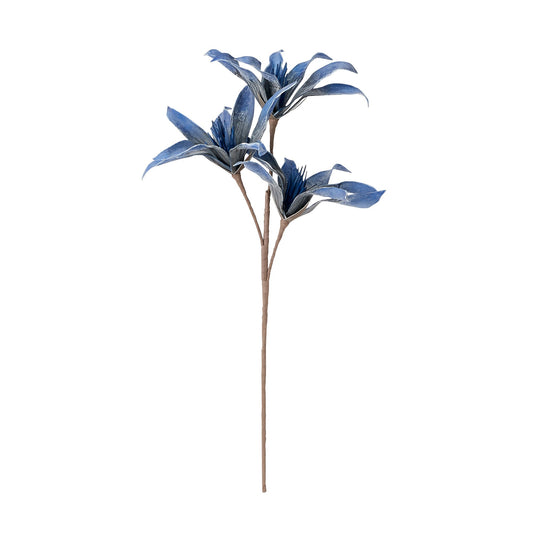 Art Plant Dragon Tree Blue