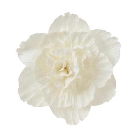 Wall Flower Peony Medium White